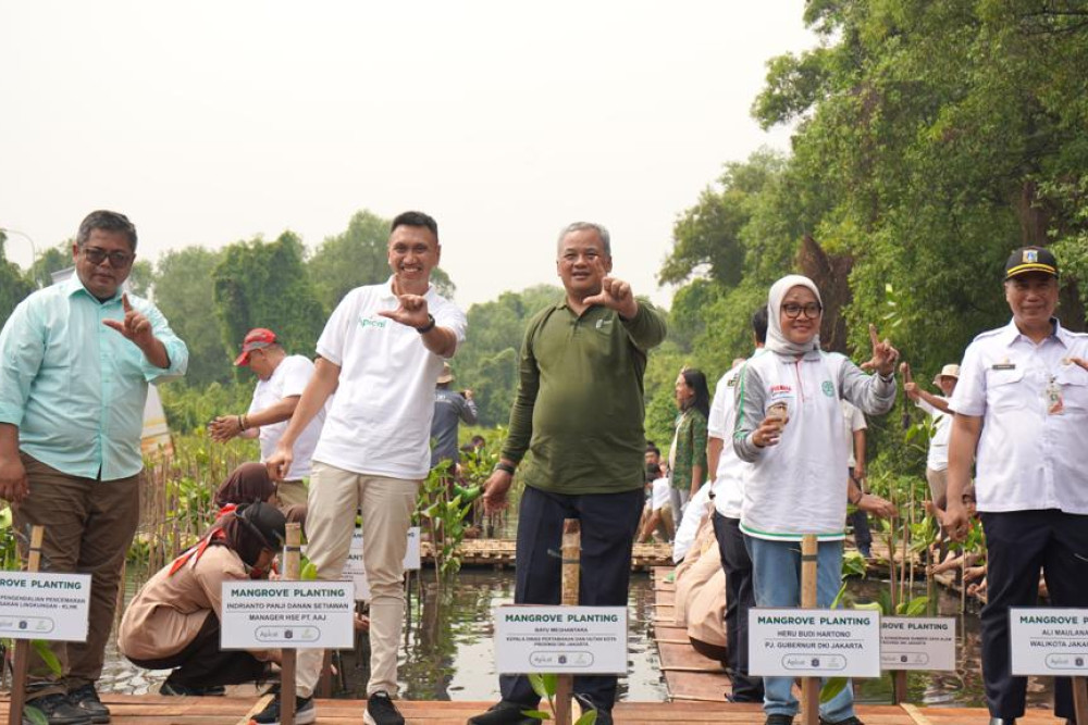  Apical Percepat Perlindungan Ekosistem dengan Penanaman 3.000 Pohon Mangrove