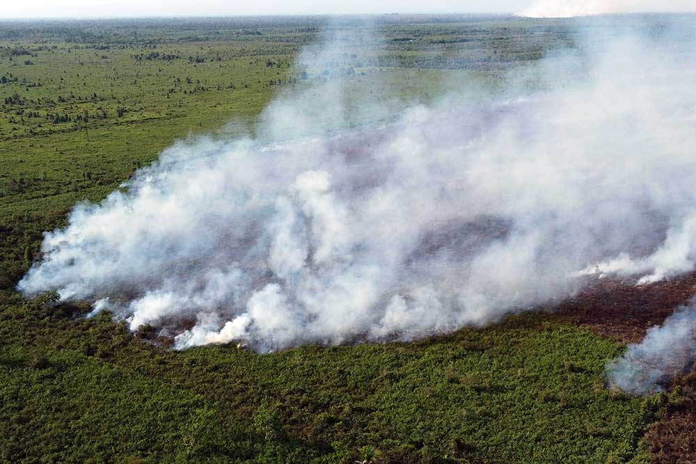  Kebakaran Lahan Gambut di Aceh Belum Bisa Dipadamkan