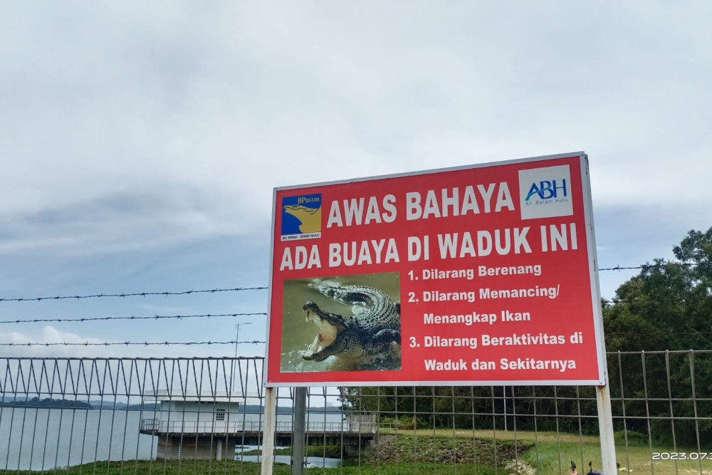  Viral Penampakan Buaya di Waduk Duriangkang, Ini Langkah BP Batam