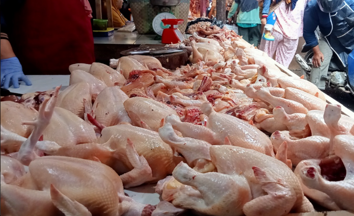  Komoditas Daging Ayam Beri Andil Terbesar Inflasi Sumsel