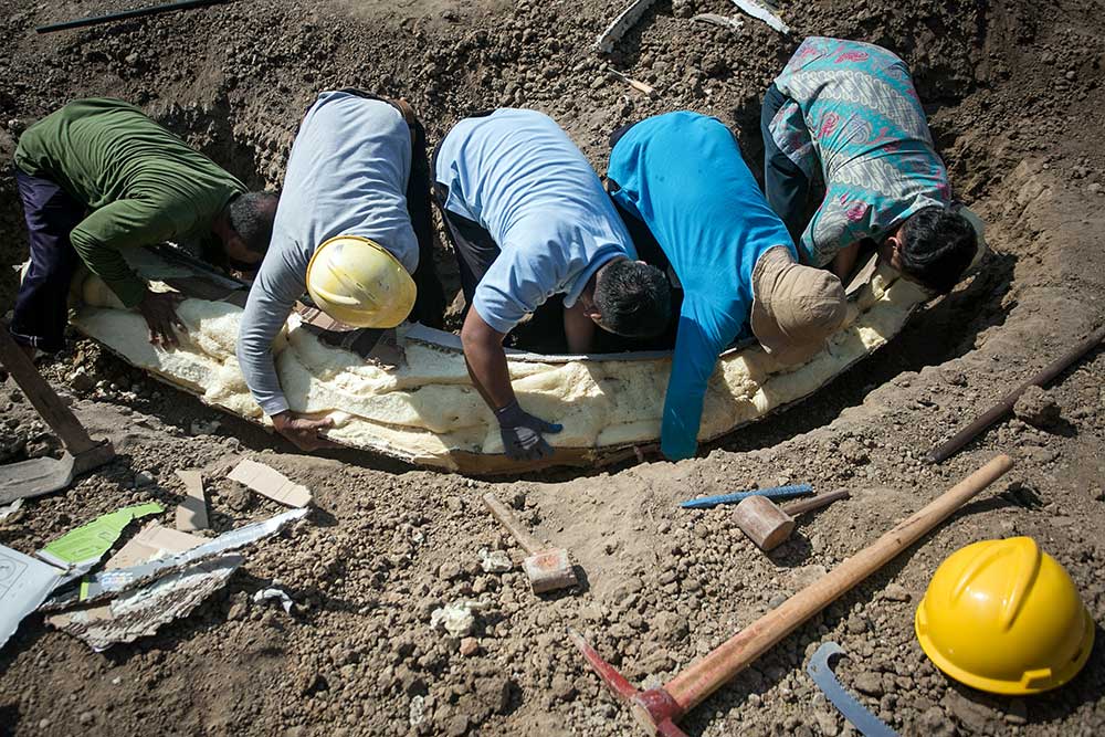  Penemuan Fosil Gading Gajah Purba di Jawa Tengah