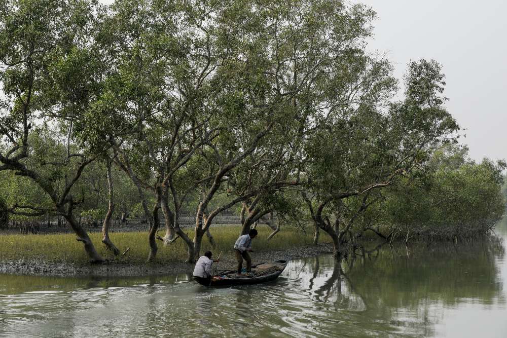 Orang-orang di perahu mendayung melewati pohon bakau yang mengelilingi pulau Satjelia di Sundarbans, India, 15 Desember 2019. REUTERS