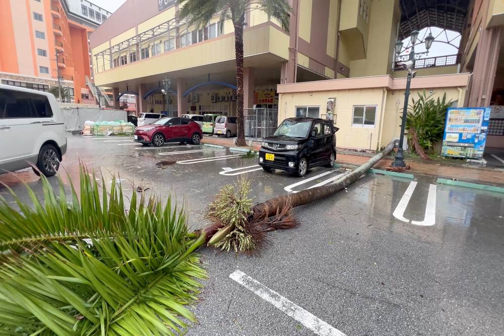 Mobil rusak dan pohon tumbang setelah hujan lebat dan angin kencang akibat Topan Khanun di Chatan, Prefektur Okinawa, Jepang 2 Agustus 2023/Reuters