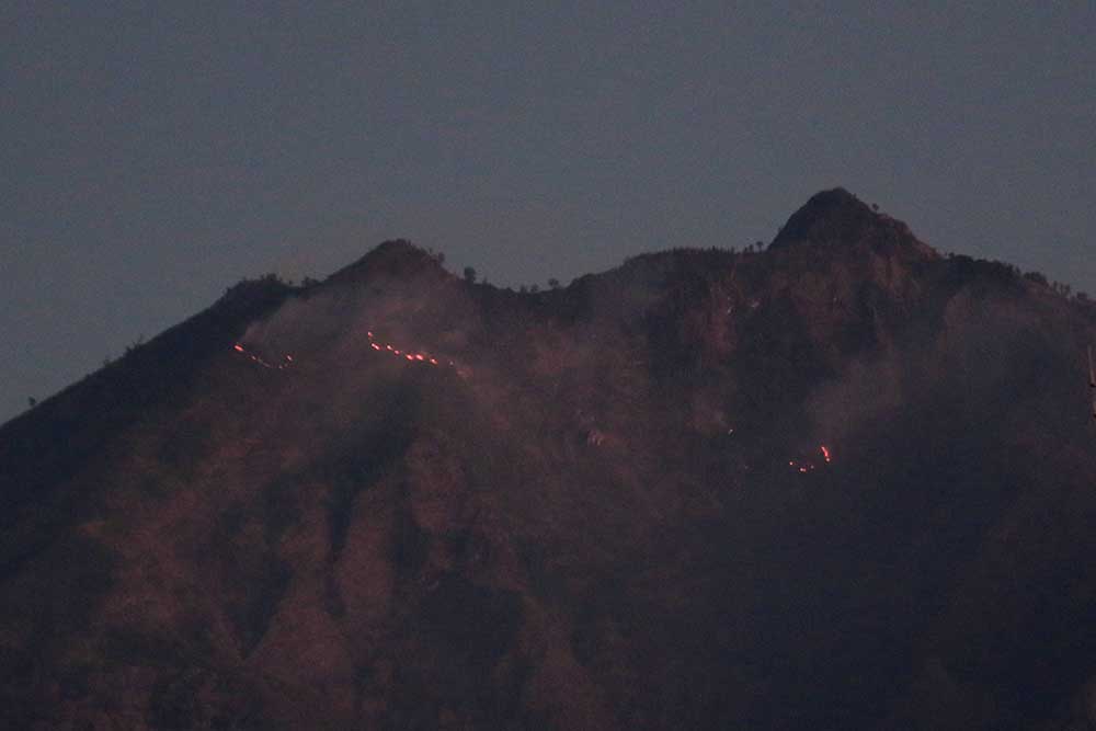  Api Membakar Kawasan Gunung Merapi Ungup-Ungup di Banyuwangi