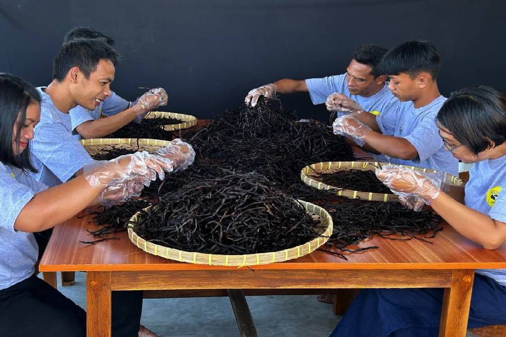 Produk vanili organik petani di Desa Sajang, Kecamatan Sembalun, Lombok Timur binaan Kantor Perwakilan Bank Indonesia NTB. Bisnis/Harian Noris