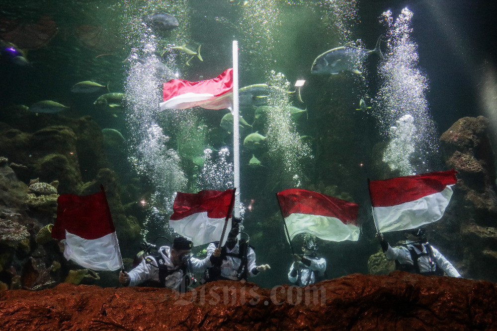  Taman Impian Jaya Ancol Akan Mengibarkan Bendera Merah Putih di Akuarium Sea World