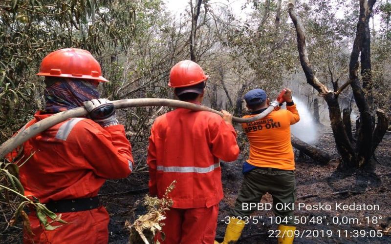  Kebakaran Lahan di Sumsel, Terdeteksi 405 Titik Api pada Agustus 2023