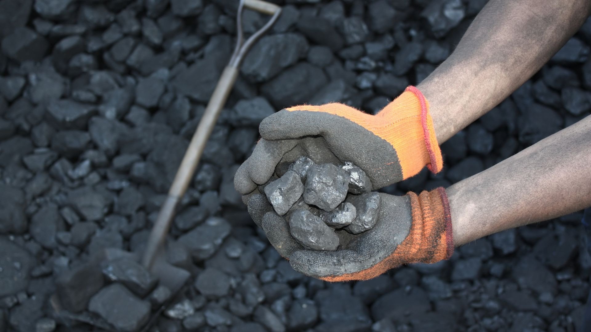  Unrelenting Pressure on National Coal Industry