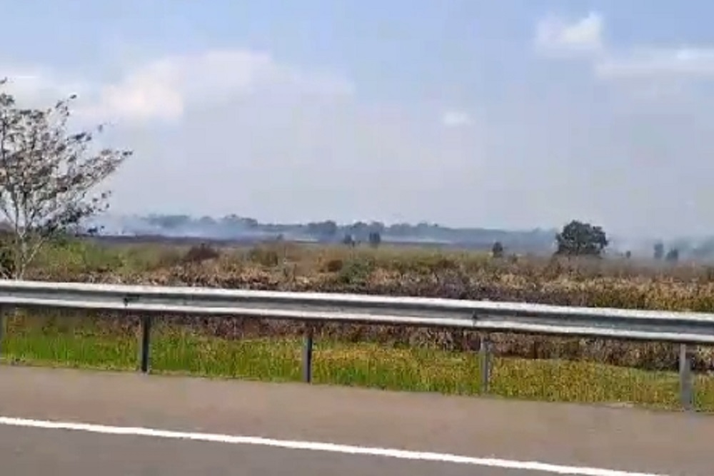  Kebakaran Lahan di Ogan Ilir Dekati Area Tol Palembang-Indralaya