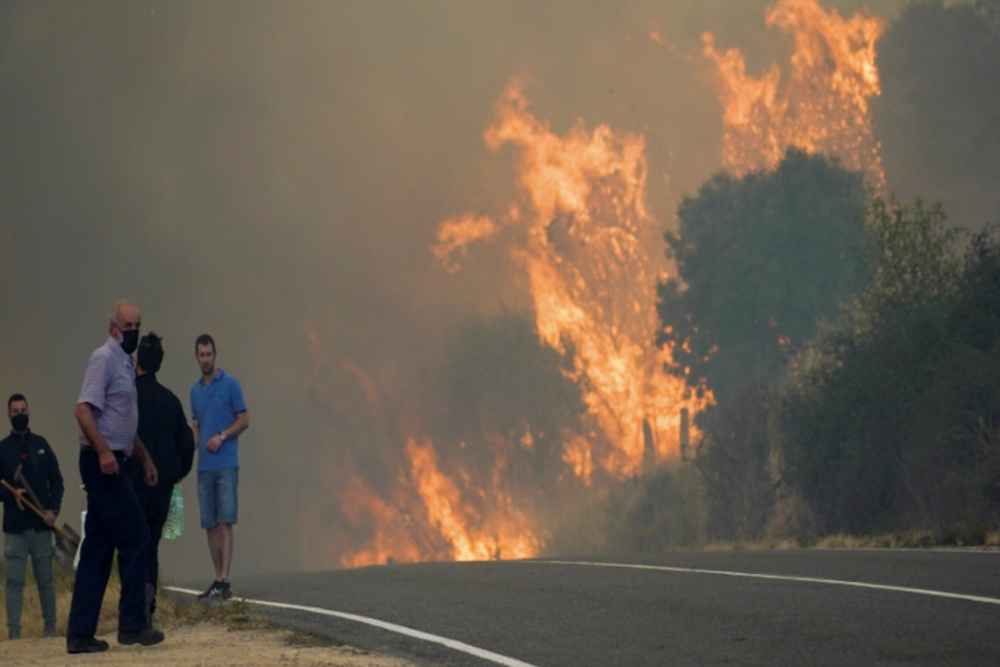 Geger Kebakaran Hutan di Spanyol, Kemlu Update Kondisi 13 WNI di Pulau Tenerife