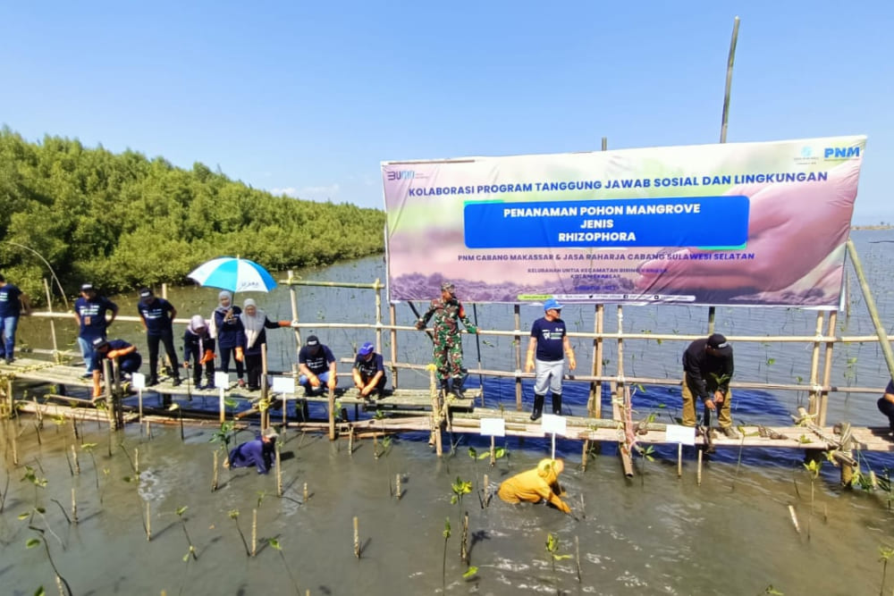  HUT ke-78 RI, PNM Tanam 22.000 Pohon Mangrove untuk Tekan Polusi