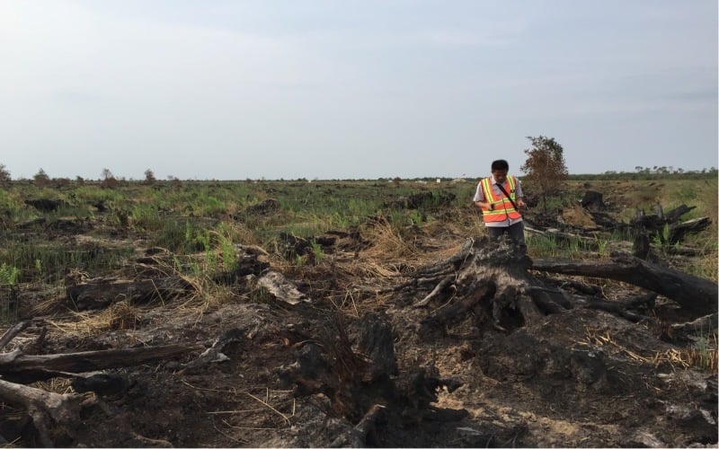  Kebakaran Landa 1.178 Lahan di Sumsel, Ini Tiga Daerah Paling Rawan