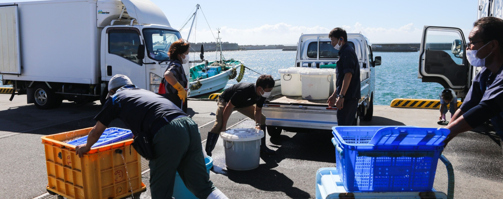  Blokade Impor Seafood di Balik Pembuangan Air Radioaktif Nuklir Jepang