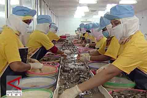  KKP: Impor Produk Ikan Asal Jepang Relatif Minim