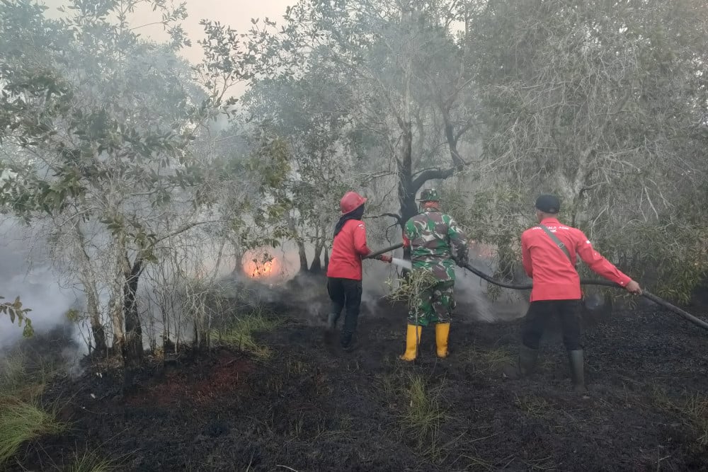  Dua Titik Lahan Kebakaran di Sumsel Berhasil Dipadamkan