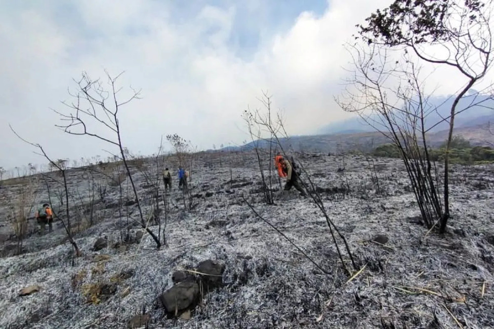 Kebakaran Gunung Arjuno, Pendakian Ditutup Sementara