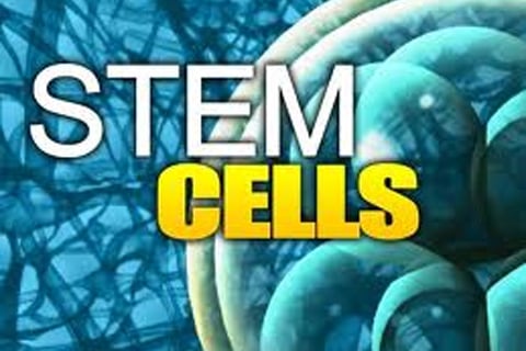  Investor Malaysia Berminat Buka Laboratorium Stem Cell di Riau