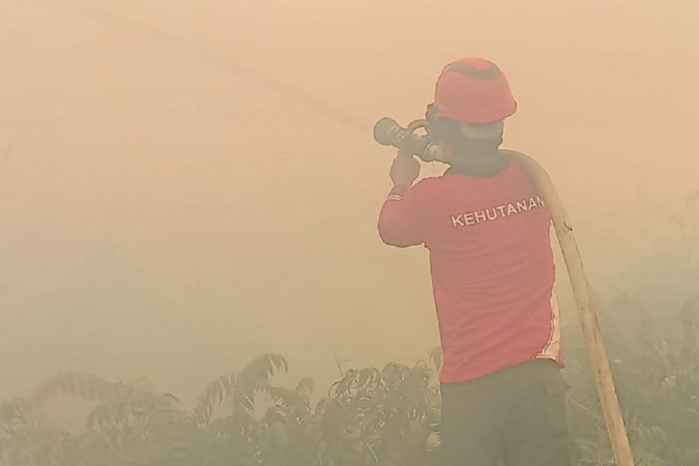  September Puncak Kemarau, Asap Karhutla Kembali Jadi Ancaman di Sumsel