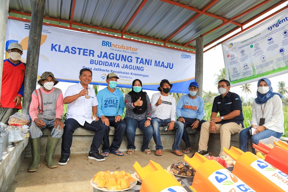  Ini Jenis, Cara Pengajuan, dan Syarat KUR BRI 2023 Terbaru