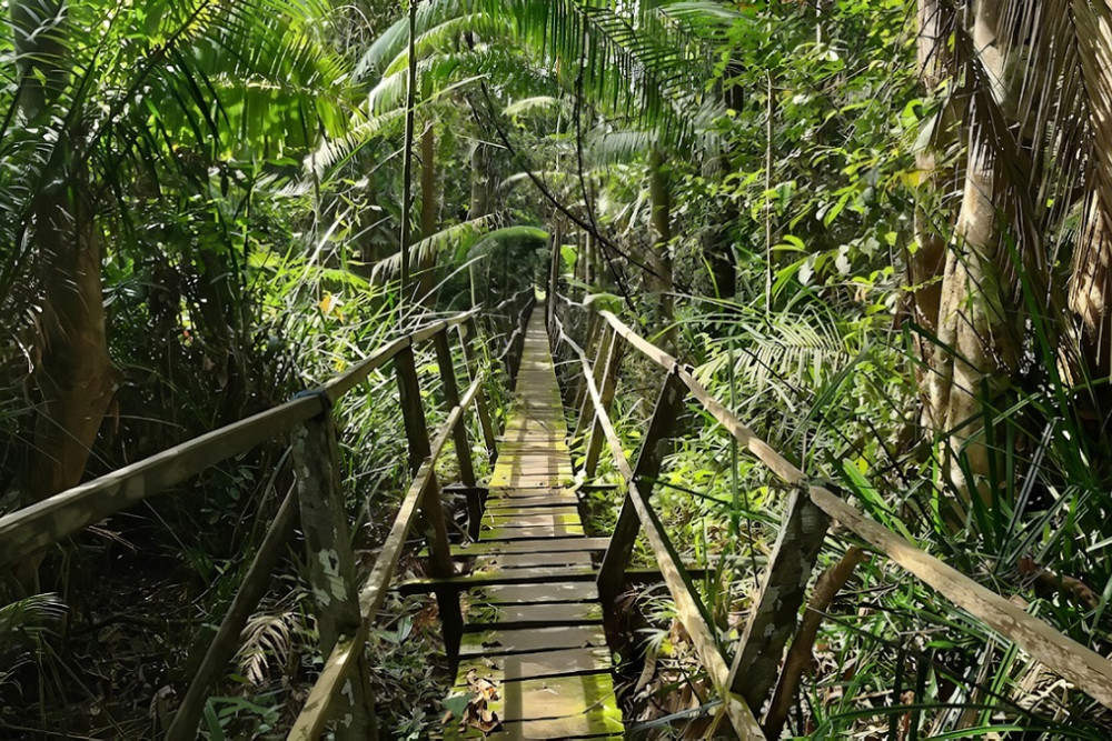Wisata Balikpapan, Salah Satunya Sungai Wain/Dok. Pengunjung Sungai Wain.