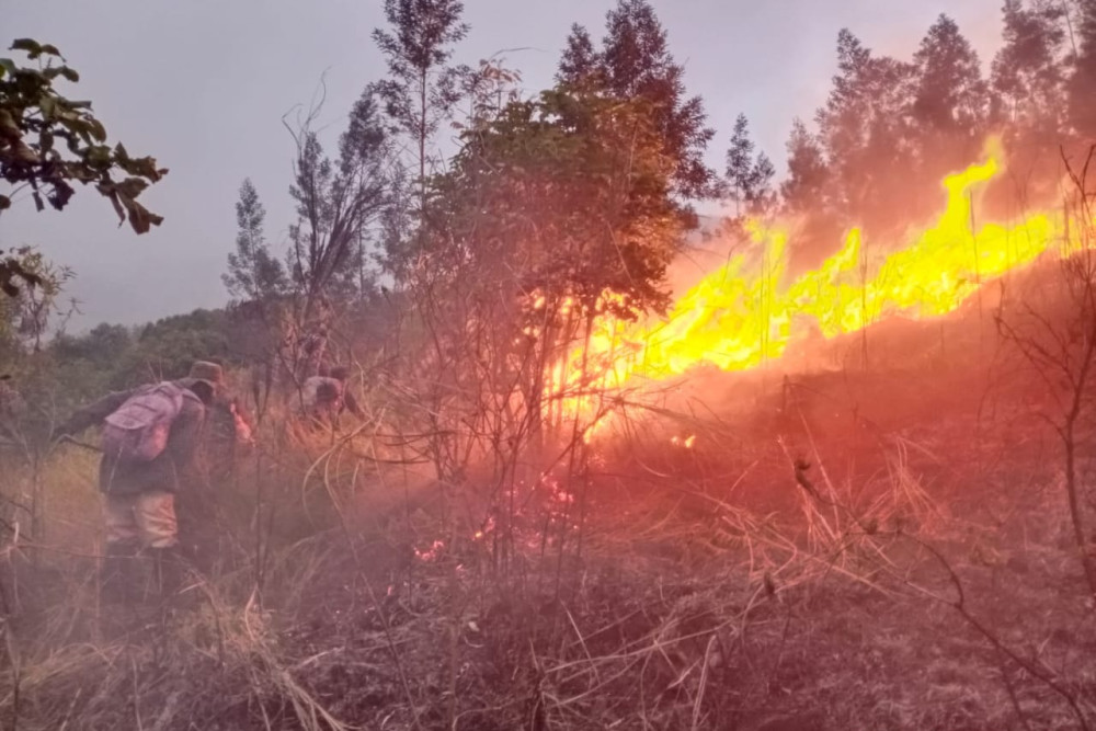  Api Belum Padam, 907 Hektare Lahan Gunung Arjuna di Kota Batu Terbakar