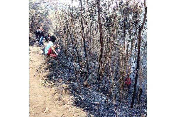  Kebakaran Hutan di Lereng Gunung Bisa Memicu Banjir Bandang