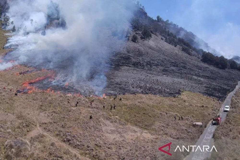  6 Fakta Kebakaran Bromo karena Prewedding Pakai Flare, Api Sulit Dipadamkan