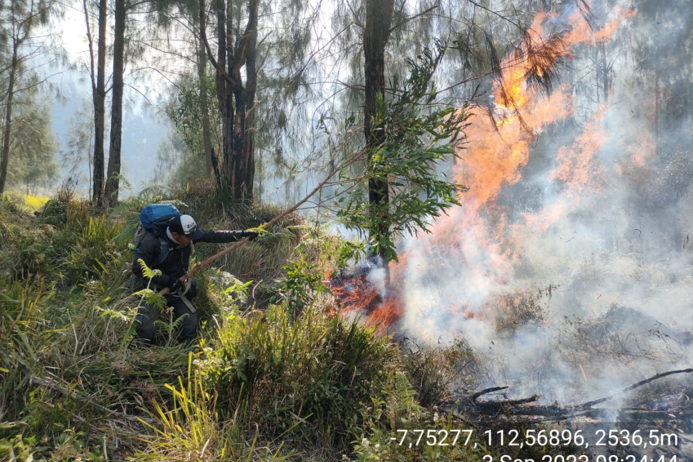  Kebakaran Hutan  di Gunung Arjuno Wilayah Kota Batu, Begini Perkembangannya
