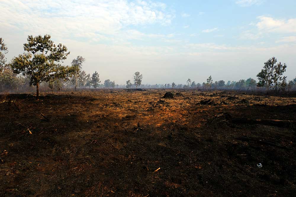  BMKG Menyatakan Ada Sebanyak 554 Titik Panas Kebakaran Hutan dan Lahan Gambut di Kalimantan Barat