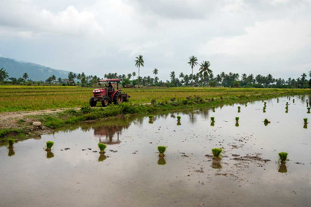  Rencana Penambahan Areal Tanam Padi di Sulteng