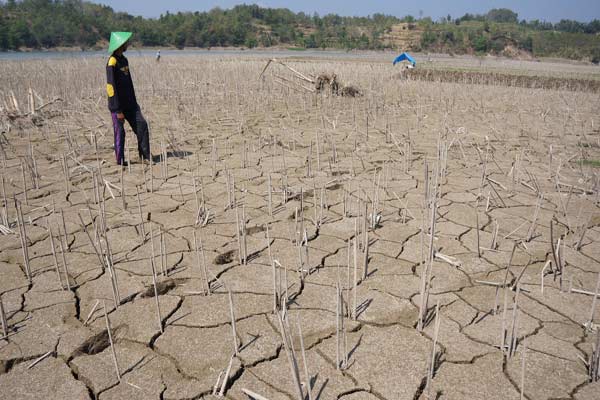  Sulsel Tetapkan Tiga Daerah Berstatus Tanggap Darurat Kekeringan