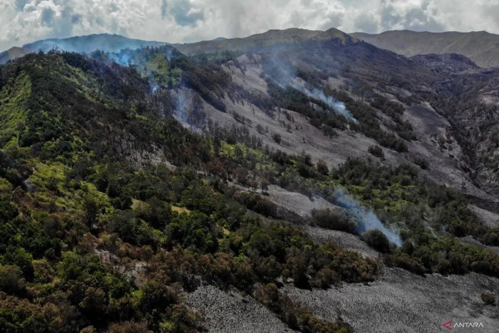 Arsip. Kondisi lahan yang terbakar di Gunung Bromo terlihat dari Pos Jemplang, Malang, Jawa Timur, Selasa (12/9/2023)./Antara-Muhammad Mada.