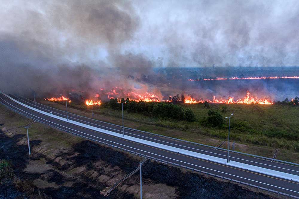  Kebakaran Lahan Terjadi di Samping Jalan Tol Trans Sumatera (JTTS) Luas Palembang-Indralaya