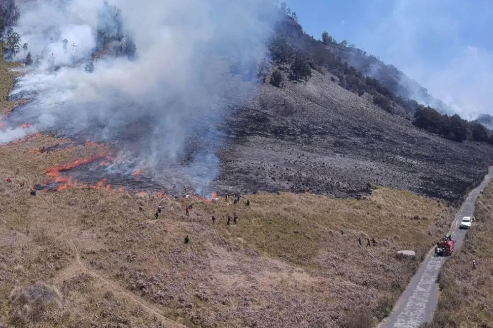  Kebakaran Bromo Berdampak Terhadap 504 Hektare Lahan