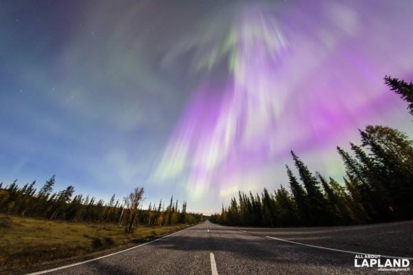 Foto Cahaya Utara atau aurora borealis yang terlihat di langit Finlandia bagian utara pada Jumat pagi (8/9/2017) yang diunggah di akun Twitter majalah perjalanan All About Lapland. (All About Lapland)