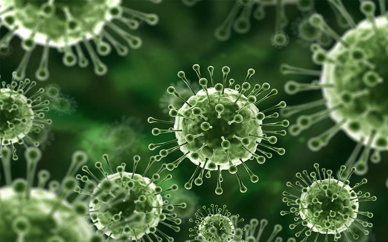  Apakah Virus Nipah Bisa Menular dari Manusia ke Manusia,? Simak Gejalanya