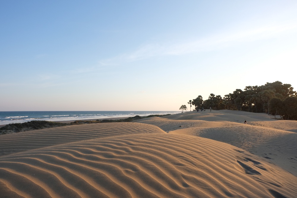  Mengikis Bulir-Bulir Penyesalan di Surga Marginal Pantai Oetune