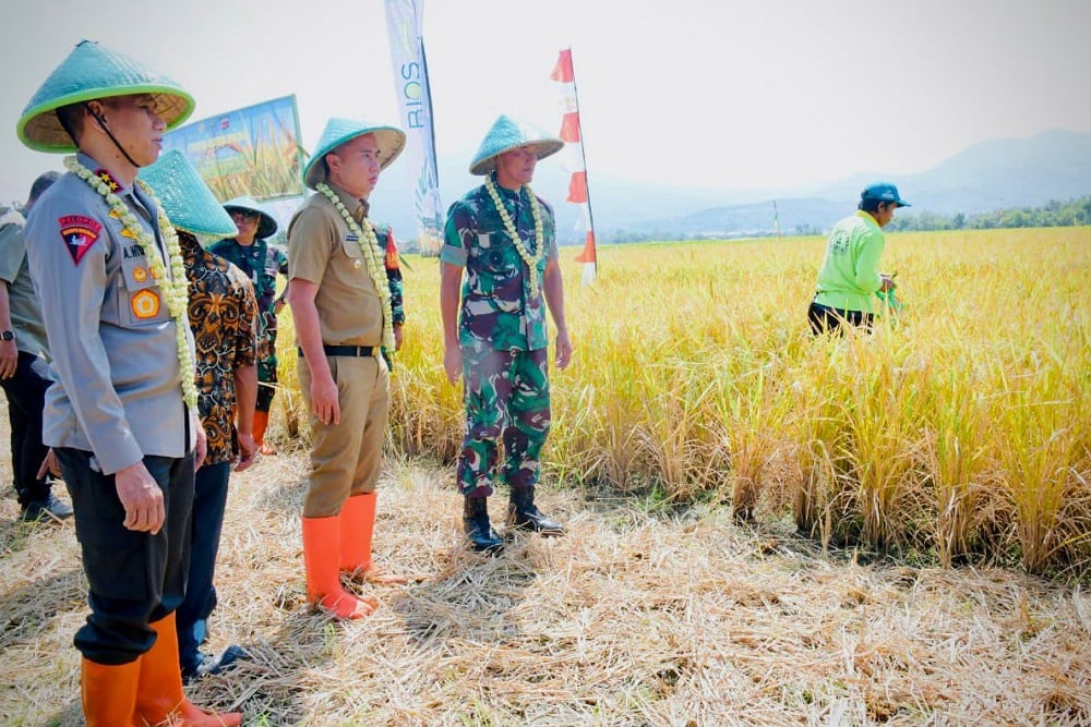  Bey Ingin Replikasi Inovasi Panen Gapoktan di Cicalengka