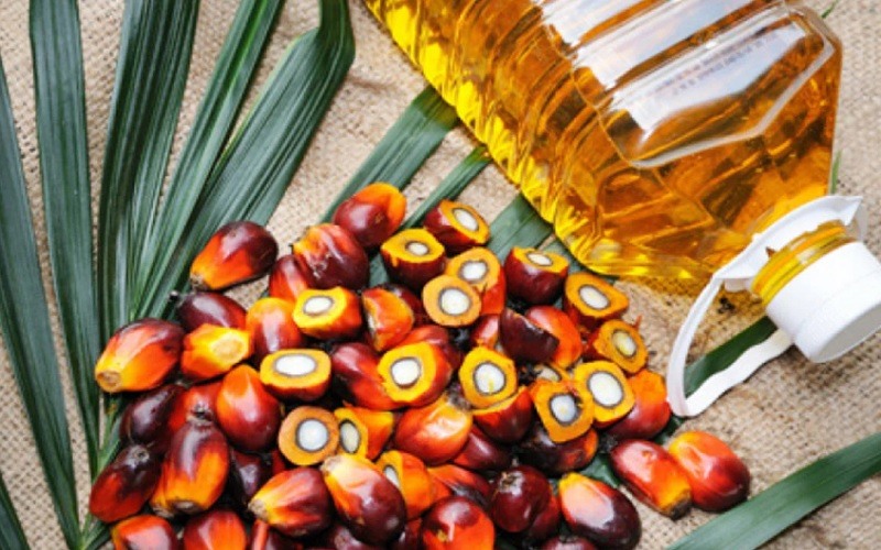 Ilustrasi Refined, bleached, and deodorized (RBD) palm oil sebagai bahan baku minyak goreng./The Edge Markets