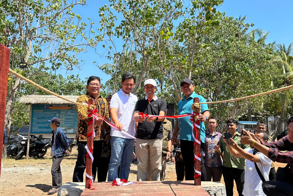  Pengembangan Ekowisata Bale Mangrove Lombok Timur Mulai Dioptimalkan