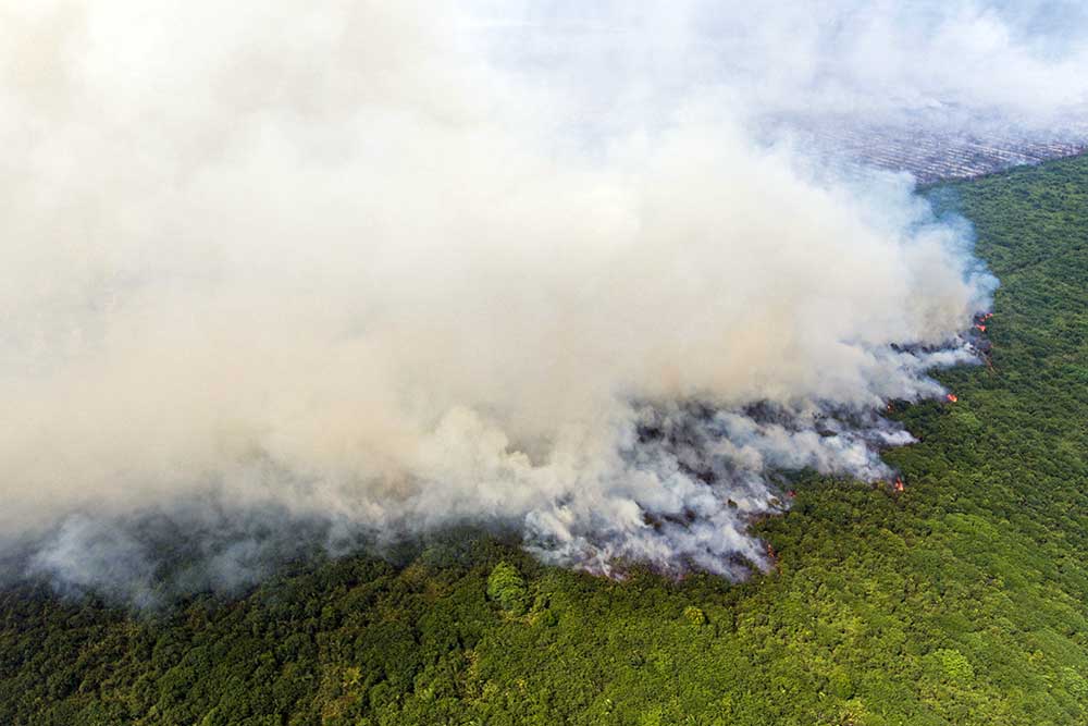  Kebakaran Lahan Gambut di OKI Sumatra Selatan Makin Meluas