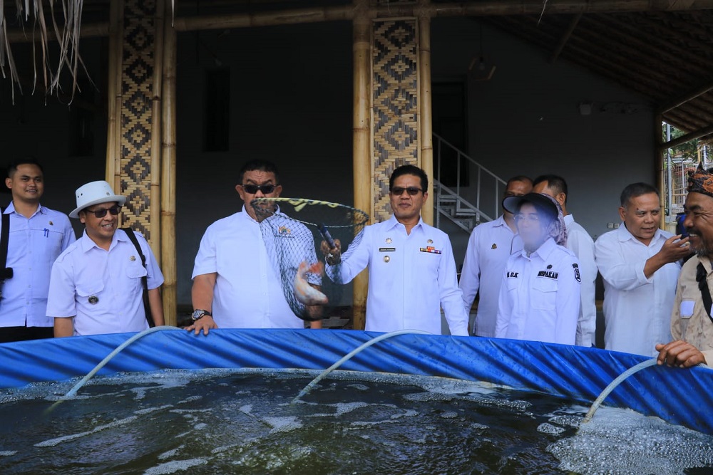  Gandeng Kadin dan PHRI, Bupati Bandung Dorong Budi Daya Ikan Nila Bioflok