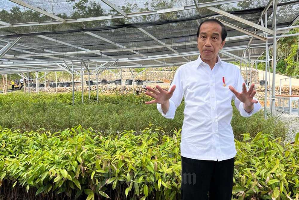  Presiden Jokowi: Persemaian Mentawir Bukti Komitmen Pemerintah ke Lingkungan