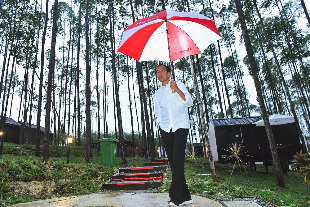 Presiden Joko Widodo tegaskan mimpinya soal IKN. ANTARA FOTO/Setpres/Agus Suparto/sgd/foc.
