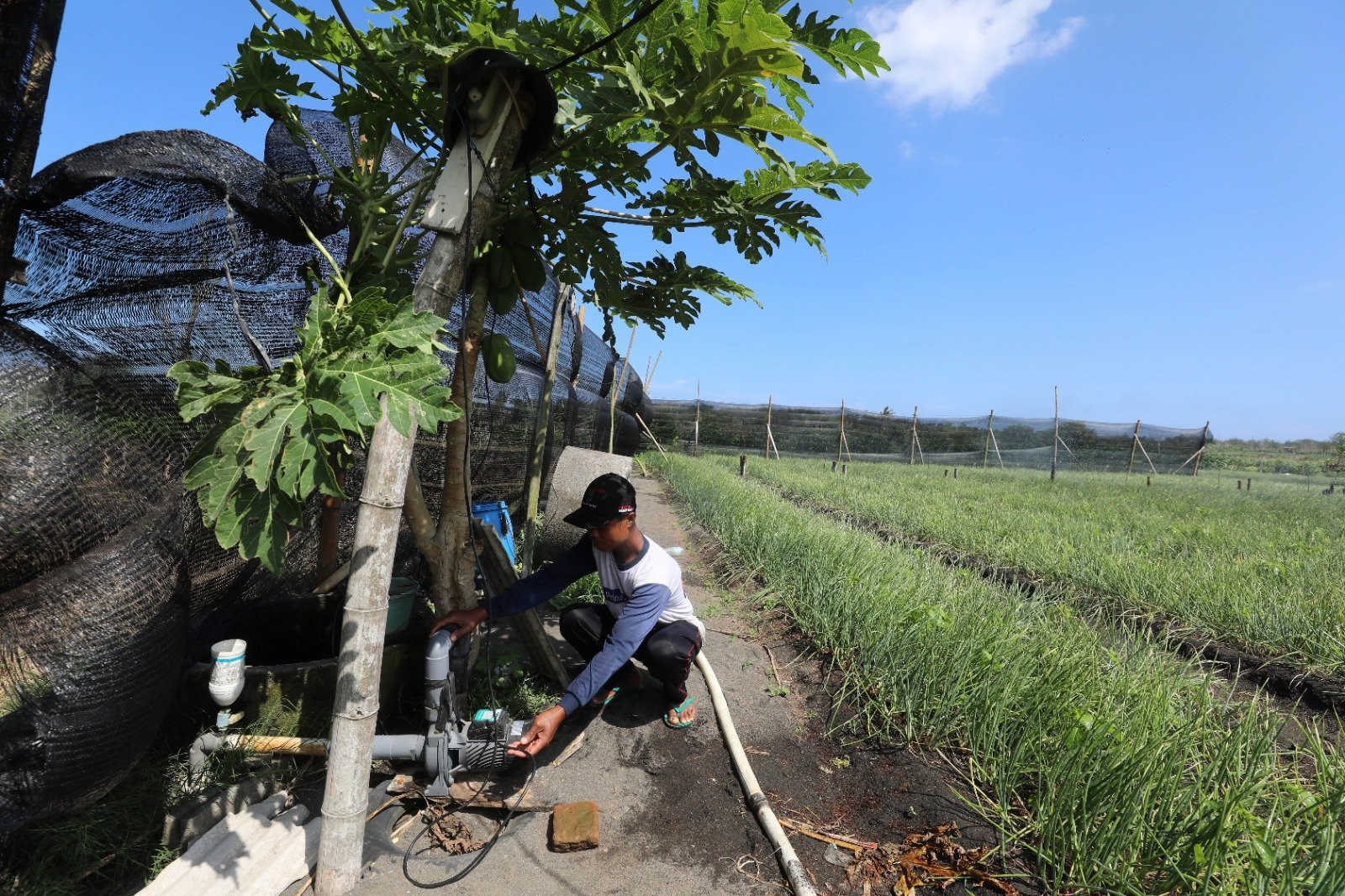  Gov’t Prepares Subsidies to Procure Food Reserves