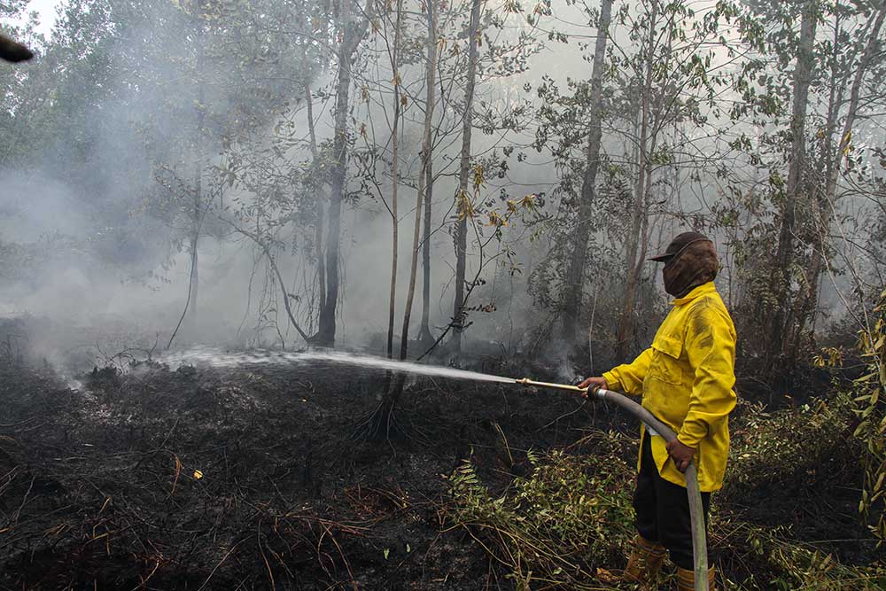  Sepanjang 2023, Kebakaran Hutan di Lahan di Kallimantan Tengah Mencapai 2.541 Kejadian