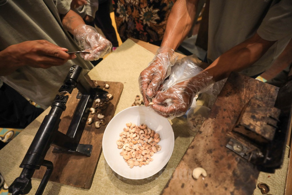  Sebungkus Mimpi dari Kacang Mete KameKu