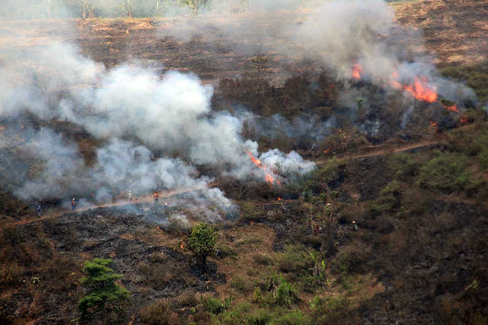  Kebakaran Hutan dan Lahan (Karhutla) di Kabupaten Jombang Terus Mengalami Peningkatan