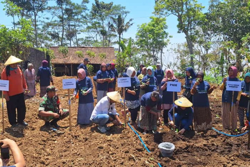  Dukung Petani Indonesia, PNM Beri 10.000 Lebih Bibit Unggul Untuk Panen
