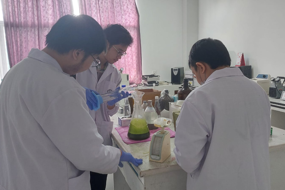  Ekstrak Kelor, Alternatif Baru Potensi Sembuhkan Alzheimer